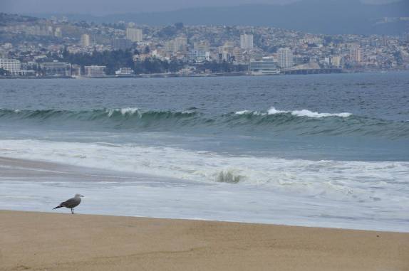 Viña del Mar, no Chile